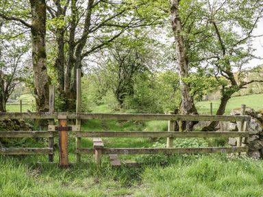 A wooden fence with a gate and trees behind it in a grassy area at The Paddock in Keswick