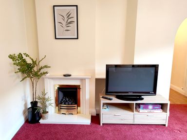 A room with a fireplace, two potted plants, a framed leaf print on the wall, a television on a wooden stand, and board games at The Paddock in Keswick