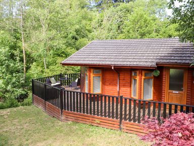A wooden cabin with a black and brown railing and outdoor seating surrounded by trees at Nutkins Lodge Beckside 5 Limefitt Park near Windermere