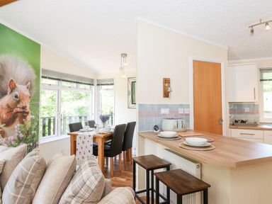 An open plan kitchen and dining area with a wooden counter, bar stools, dining table with chairs and large squirrel wall art at Nutkins Lodge Beckside 5 Limefitt Park near Windermere
