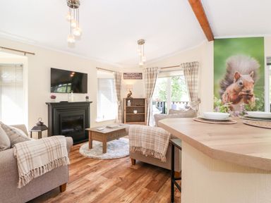 A living room with a television above a fireplace and plaid blankets on sofas at Nutkins Lodge Beckside 5 Limefitt Park near Windermere