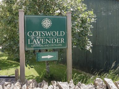 A sign for Cotswold Lavender growers and distillers with an arrow pointing right outdoors