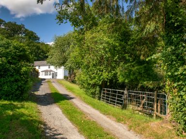 A gravel driveway leading to a white house surrounded by trees with a metal gate on the right at Fron Dderw in Bala