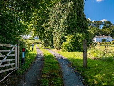 A gravel driveway lined with trees and grass leading to houses at Fron Dderw in Bala