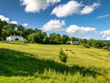 A green field with cows grazing and houses near trees under a blue sky with clouds at Fron Dderw in Bala