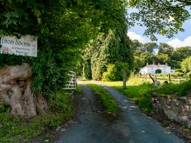 A country driveway leading to a white house with trees and greenery at Fron Dderw in Bala