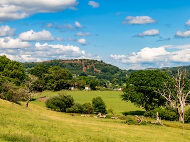 A green field with trees and a hill under a blue sky with clouds at Fron Dderw in Bala