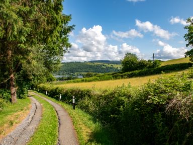 A country road with trees hedges and hills under a blue sky with clouds at Fron Dderw in Bala