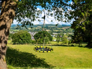 A circular swing hanging from a tree in a grassy area overlooking a town and hills at Fron Dderw in Bala
