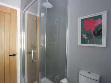 A bathroom with a shower enclosure a wooden door a toilet and a framed floral picture on the wall at Glyn Awel in Nant Gwynant near Beddgelert