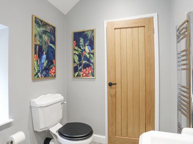 A bathroom with a white toilet with a black seat two framed pictures of birds on walls and a wooden door at Glyn Awel in Nant Gwynant near Beddgelert