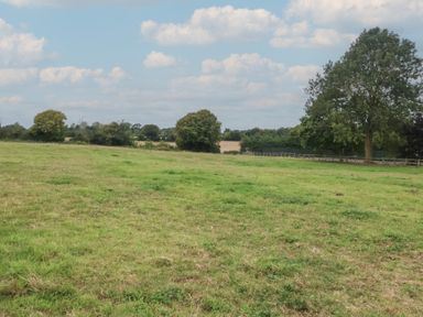 A field with trees and clouds at The Cow Shed in Chediston near Halesworth