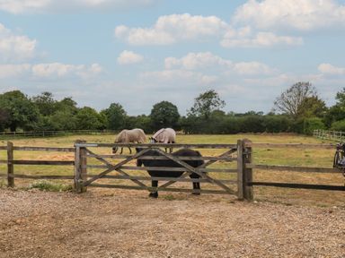 A field with horses behind a wooden gate at The Cow Shed in Chediston near Halesworth