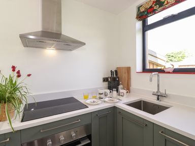 A kitchen corner with a stove oven extractor fan sink and window with cups plates and plant on countertop at Brow Wood Cabin Ullswater