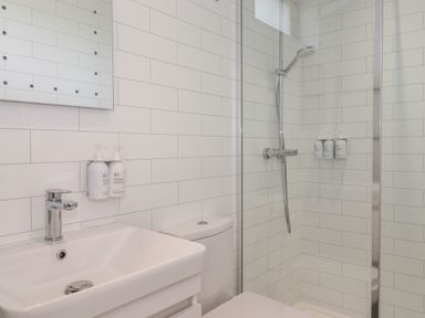 A bathroom with a white sink, a toilet, a mirror, and a shower area with a showerhead at Brow Wood Cabin in Ullswater