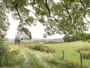 A rural landscape with green fields trees and a fence at Brow Wood Cabin in Ullswater