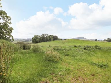 A grassy field with bushes and trees under a partly cloudy sky at Brow Wood Cabin in Ullswater