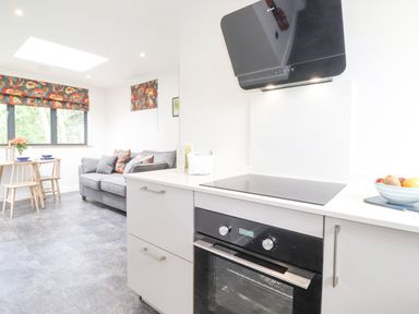 A kitchen area with an oven and stovetop next to a dining table with chairs and a grey sofa at Bluebell Cabin in Ullswater