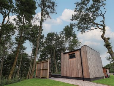 A wooden cabin with a small window surrounded by trees and grass at Bluebell Cabin in Ullswater