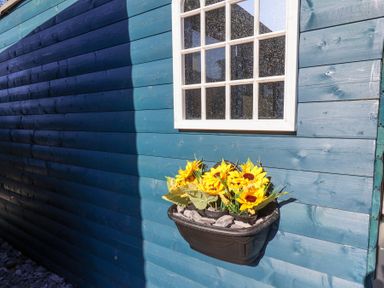 A blue wooden wall with a white framed window and a black flower box holding yellow flowers at The Dollhouse in Cayton Bay