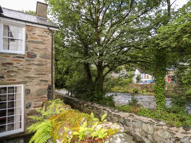 A stone house next to a river with trees and a stone wall with moss and ferns at Ty Nain in Beddgelert