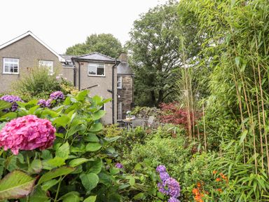 A garden with a variety of flowers and plants and a stone house in the background at Ty Nain in Beddgelert