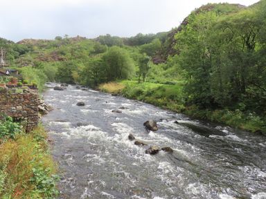 A river with rocks flowing through a green forested valley with a stone wall on the left side at Ty Nain in Beddgelert
