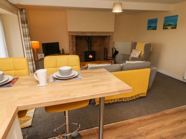 A living room with a wooden countertop and yellow chairs a grey sofa with yellow throw a fireplace and a grey armchair at Henhill Lodge in Chathill near Seahouses