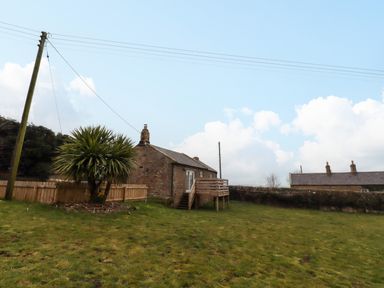 A stone cottage with a small wooden deck in a grassy yard with a palm tree and utility poles at Henhill Lodge in Chathill near Seahouses
