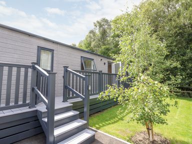 A raised wooden deck with stairs leading to a grey mobile home surrounded by green grass and trees at 7 Wild Haven in Landford