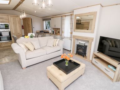 A living room with a sofa ottoman and a television next to a fireplace at 7 Wild Haven in Landford