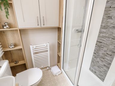 A bathroom with a toilet sink, shower enclosure, wall-mounted cabinet, shelves, and a towel radiator at 7 Wild Haven in Landford