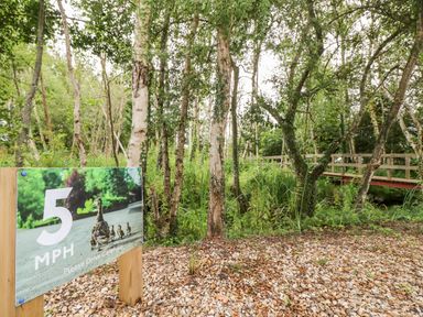 A wooded area with a wooden bridge and a 5 mph speed limit sign at 7 Wild Haven in Landford