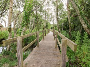 A wooden footbridge over a small stream surrounded by trees and greenery at 7 Wild Haven in Landford