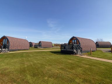 Multiple pod-style cabins on a grassy area under a clear sky at Owls Nook in Kilkhampton