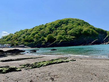 A sandy beach with rocks and green moss in front of a hill covered with trees by the sea at At the Bay Apartment in Hele Bay Ilfracombe
