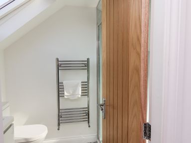 A bathroom with a toilet a heated towel rack with a white towel and a wooden door at Whitby View in Whitby