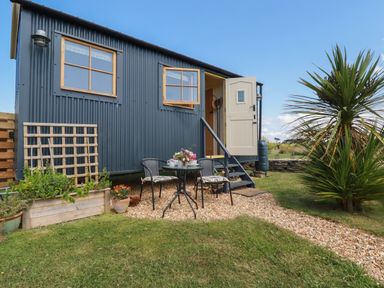 A small blue corrugated metal building with two windows and an open door next to a small patio with a round table and two chairs on gravel at Dot May Porteath near Polzeath