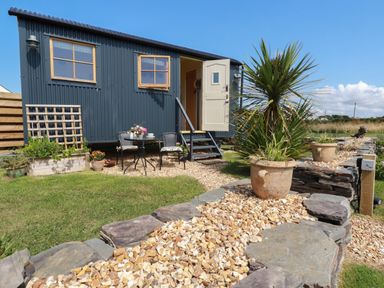 A small blue cabin with wooden framed windows an open door and outdoor seating with plants and a stone path at Dot May Porteath near Polzeath
