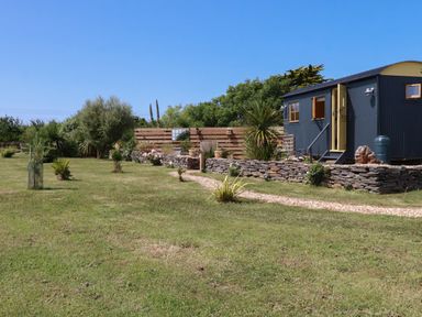A garden with small trees grass and a blue cabin with an open door at Dot May in Porteath near Polzeath