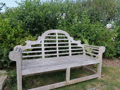 A wooden garden bench in front of green bushes and plants at Dot May in Porteath near Polzeath