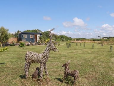 A grassy garden with wicker animal sculptures and a small blue cabin in the background at Dot May in Porteath near Polzeath