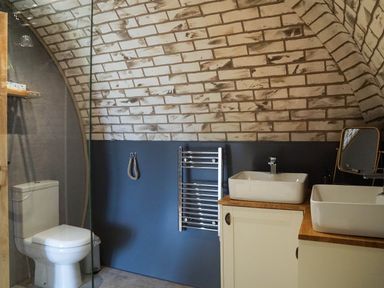 A bathroom with a toilet shower sink and mirror under a curved brick ceiling at Badgers View in Rhayader
