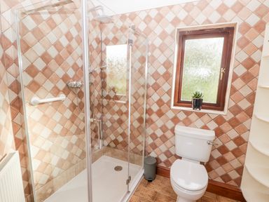 A bathroom with a glass shower enclosure a toilet a small window with a plant and tiled walls at Fountain Folly in Moylgrove near St Dogmaels