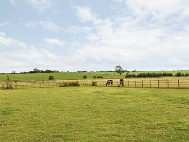 A grassy field with two horses behind wooden fences and hills in the background at The Granary in Longwitton near Morpeth