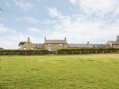A stone house behind a wooden fence and hedge with a grassy field in front at The Granary in Longwitton near Morpeth