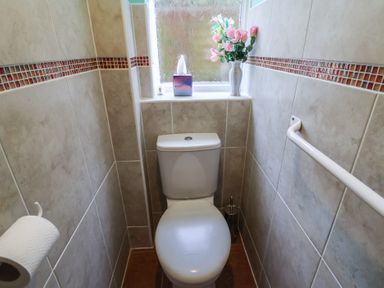 A small bathroom with a toilet a window a tissue box a vase with flowers a toilet brush and a towel rail at Woodstock in Chaffcombe near Chard
