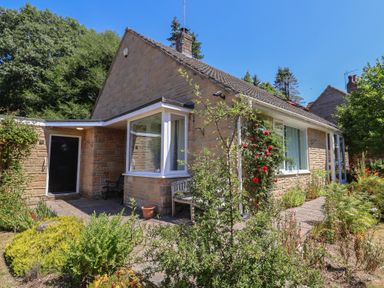 A house with a garden and pathway at Woodstock in Chard