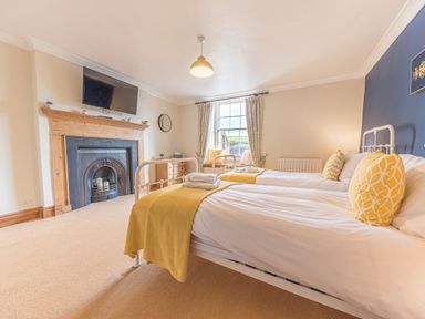 A bedroom with two single beds yellow throws on beds and a fireplace with a television above at Abbey Farm House in St Bees