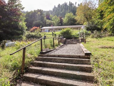 A gravel pathway with steps and wooden handrails leading up to a single story house surrounded by trees and grass at Trem Y Don in Dolgarrog